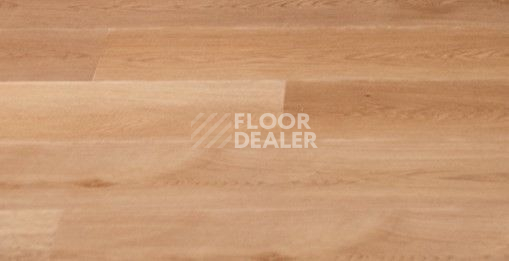 Кварцвиниловые полы Vinilpol Click 5мм 7898-EIR Дуб Верона фото 1 | FLOORDEALER